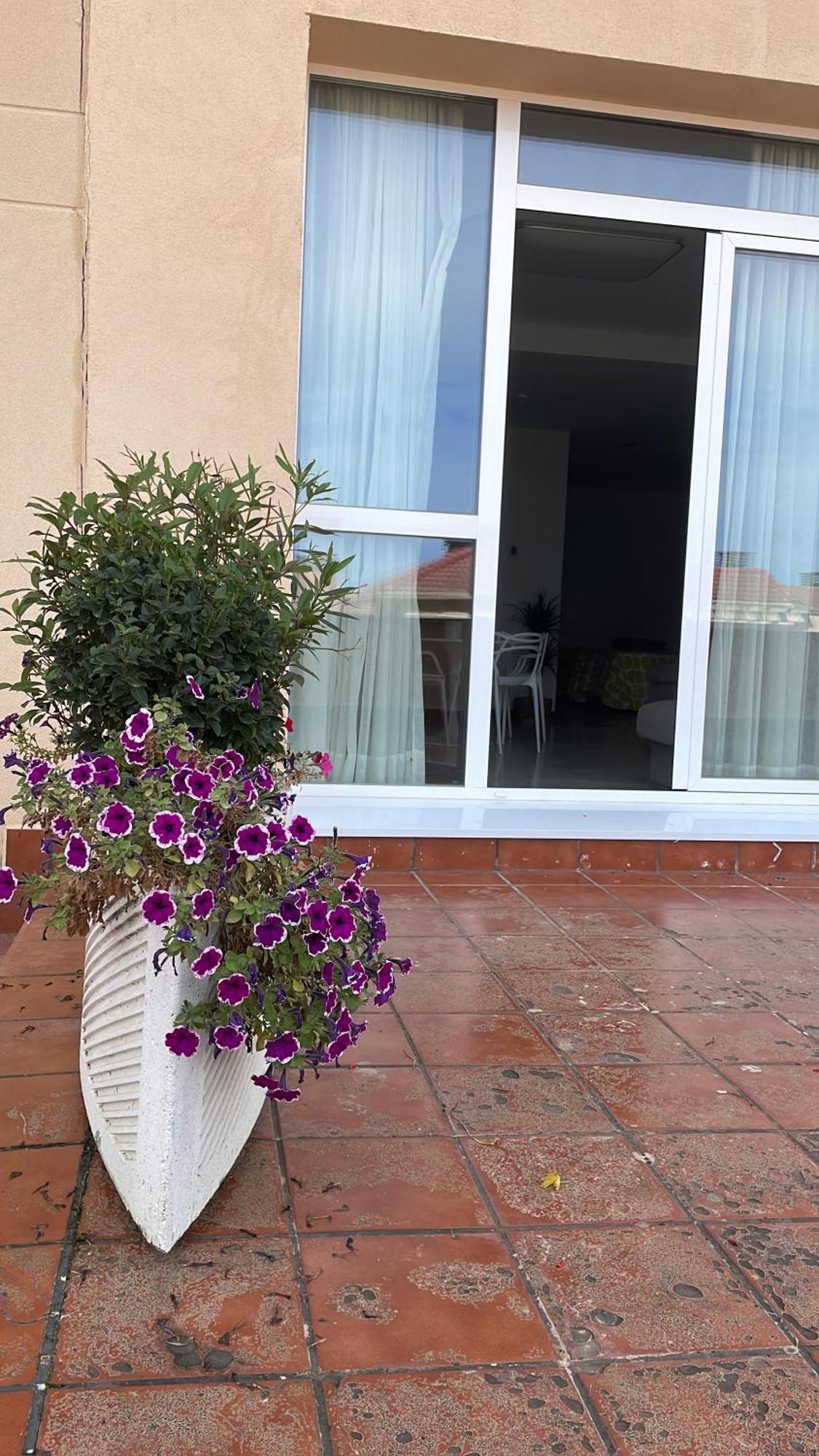 Aparthotel Aljama Burgo Extérieur photo